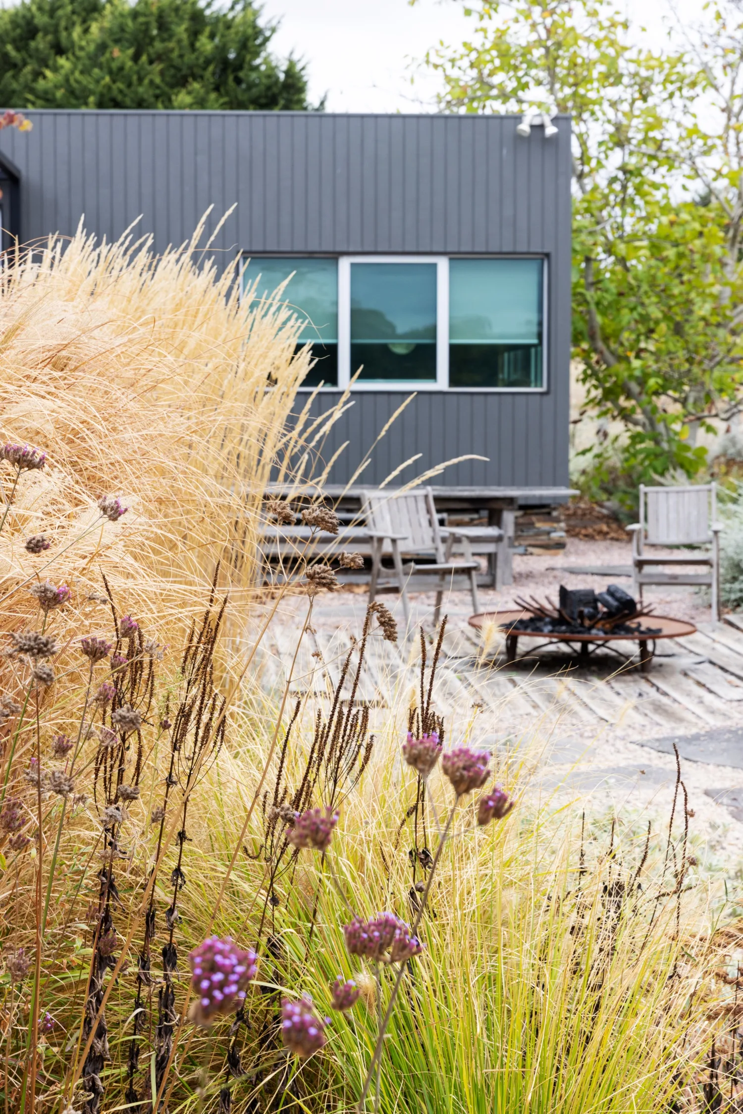 Tim Pilgrim garden in Victoria with naturalistic planting