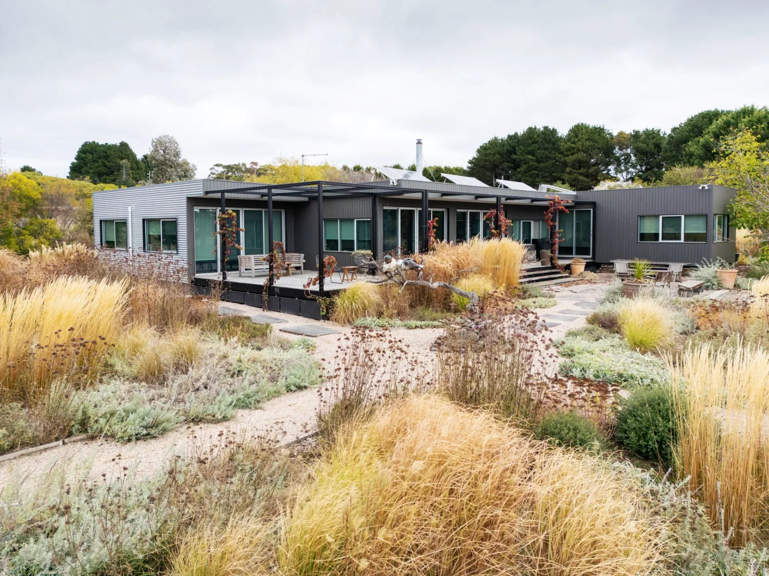 Tim Pilgrim garden in Victoria with naturalistic planting