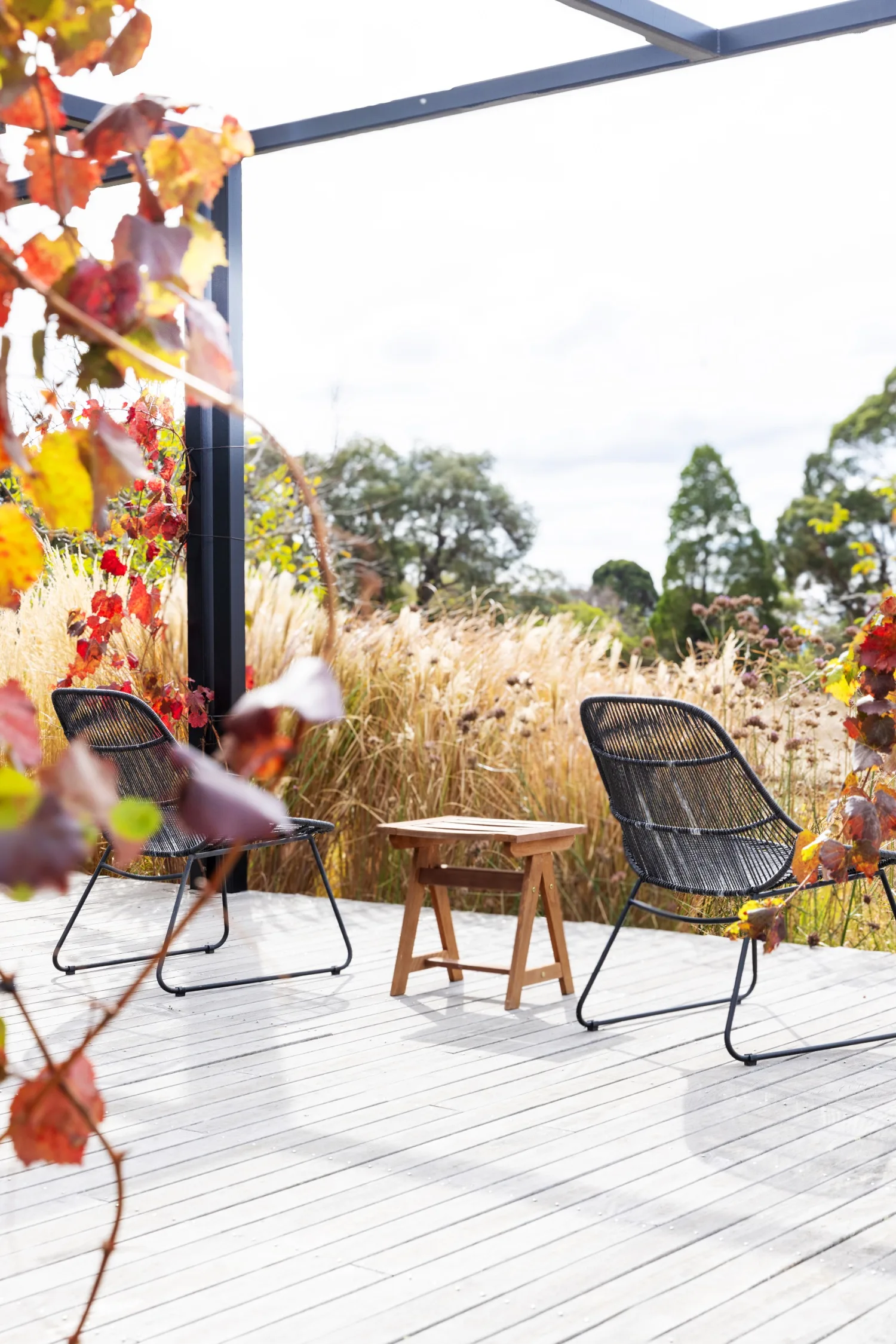 Tim Pilgrim garden in Victoria with naturalistic planting