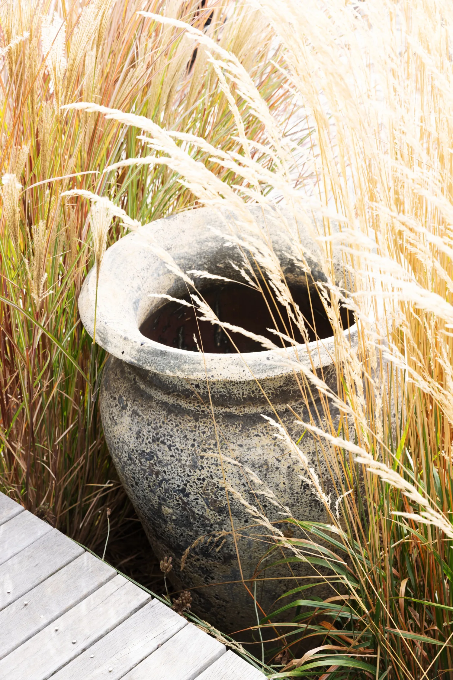 Tim Pilgrim garden in Victoria with naturalistic planting