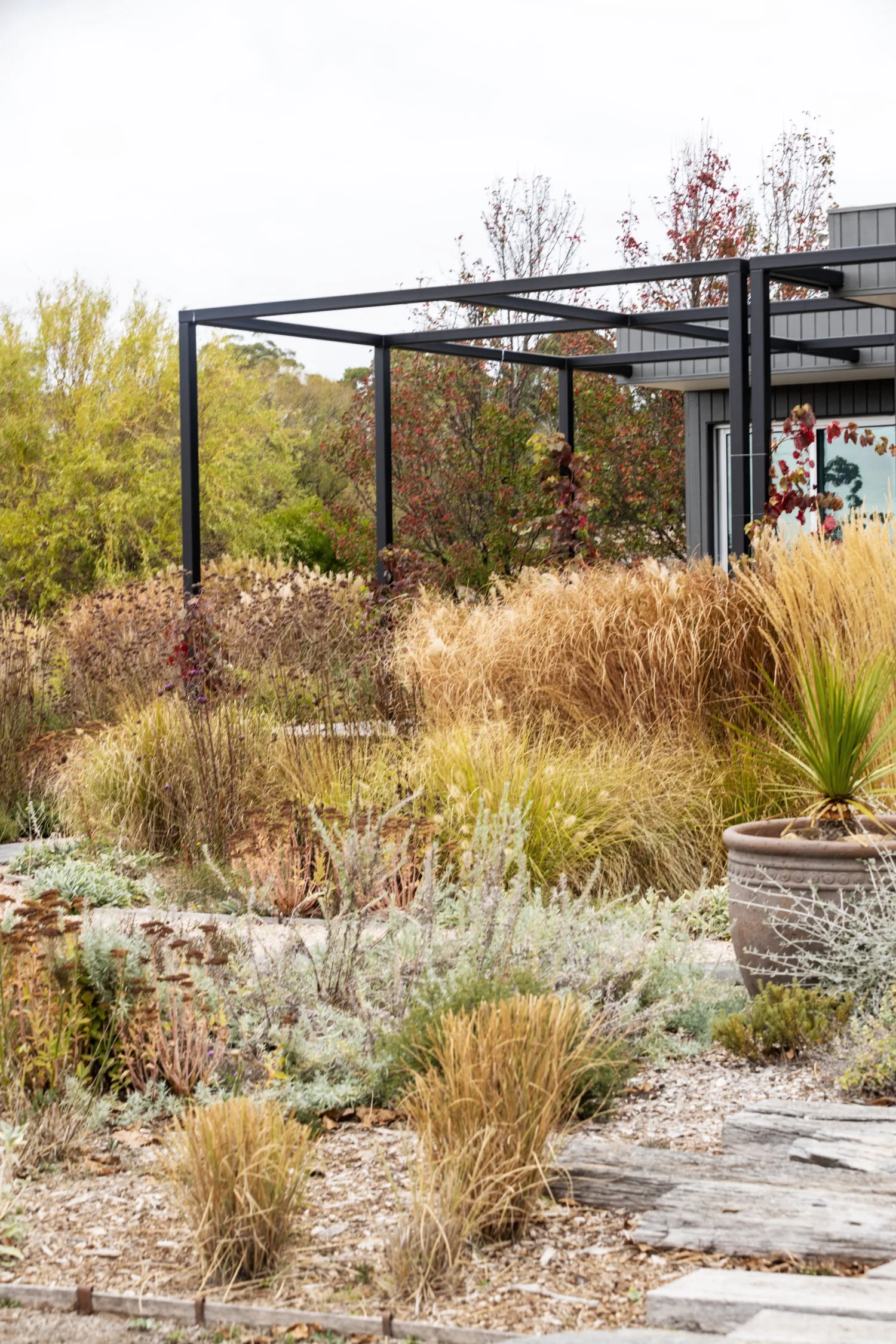 Tim Pilgrim garden in Victoria with naturalistic planting