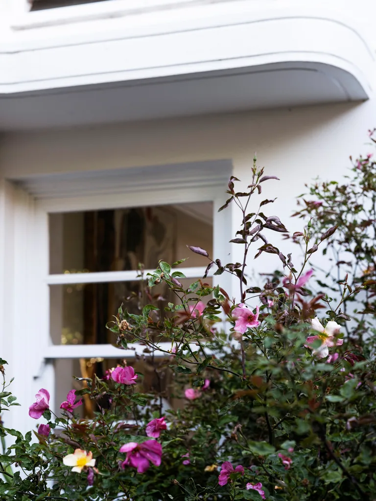‘Mutabilis’ rose brings vibrant pops of colour, plus all the romance and timeless style of roses.