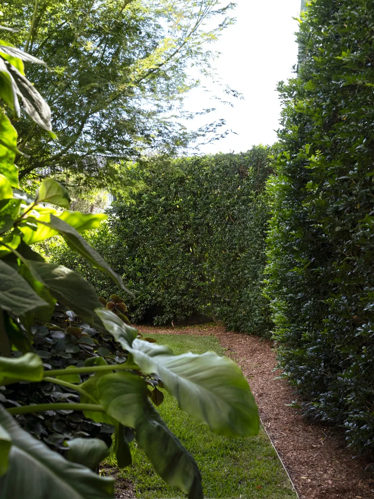 An established Murraya hedge borders the garden.
