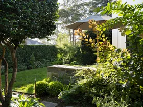 Groundcover of young Pratia pedunculata joins sandstone steppers that lead visitors through the garden to the entry portico and front door
