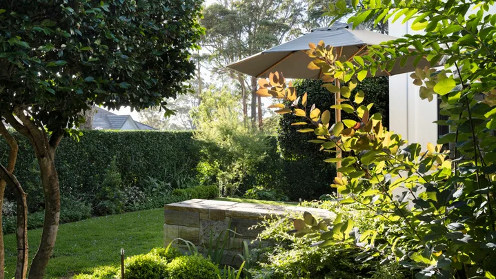 Groundcover of young Pratia pedunculata joins sandstone steppers that lead visitors through the garden to the entry portico and front door