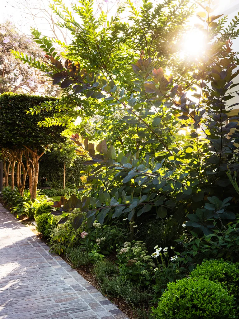Beside the newly paved driveway, contrast and colour are introduced through spherical topiaries of Buxus, Cotinus coggygria, Echinacea, Hydrangea quercifolia, Jerusalem sage, Lagerstroemia, Salvia and Sedum.