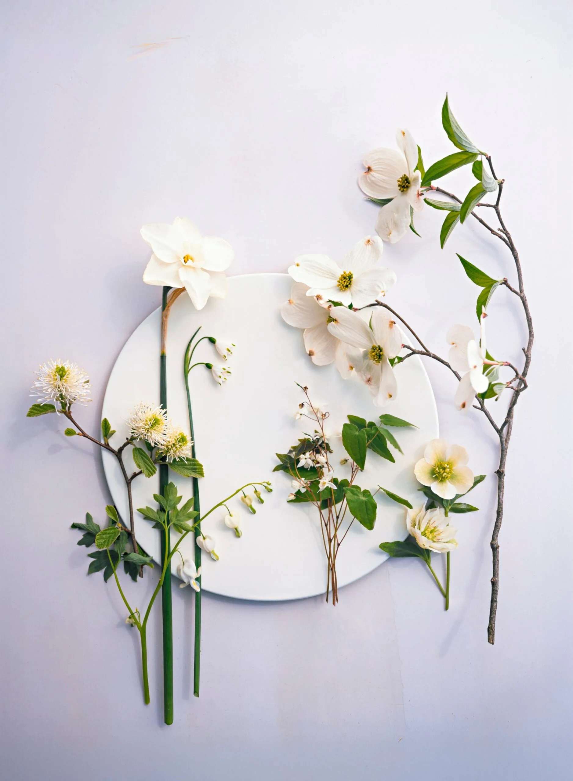 Early spring blooming flowers from Martha Stewart's Gardening Handbook