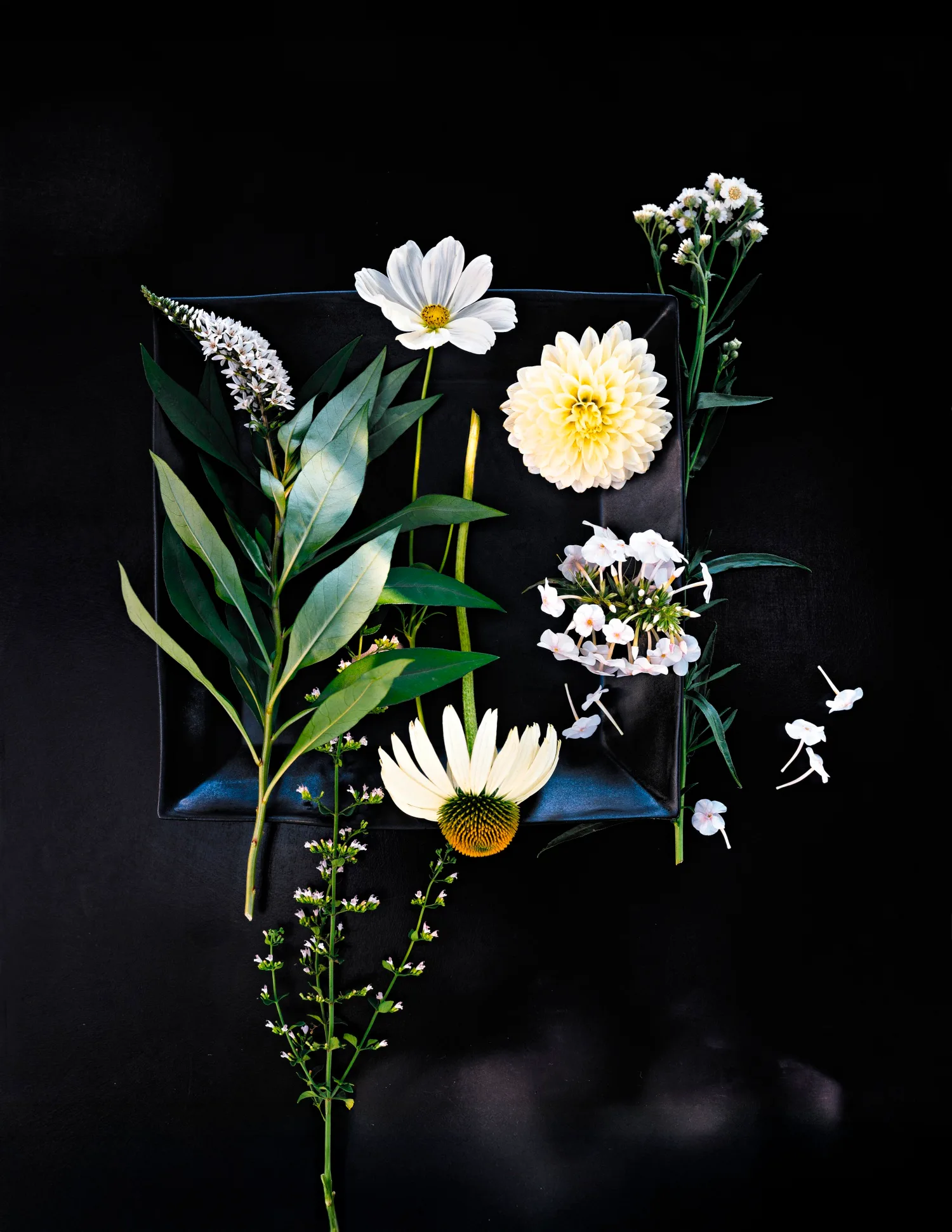 Summer bloomers from Martha Stewart's Gardening Handbook