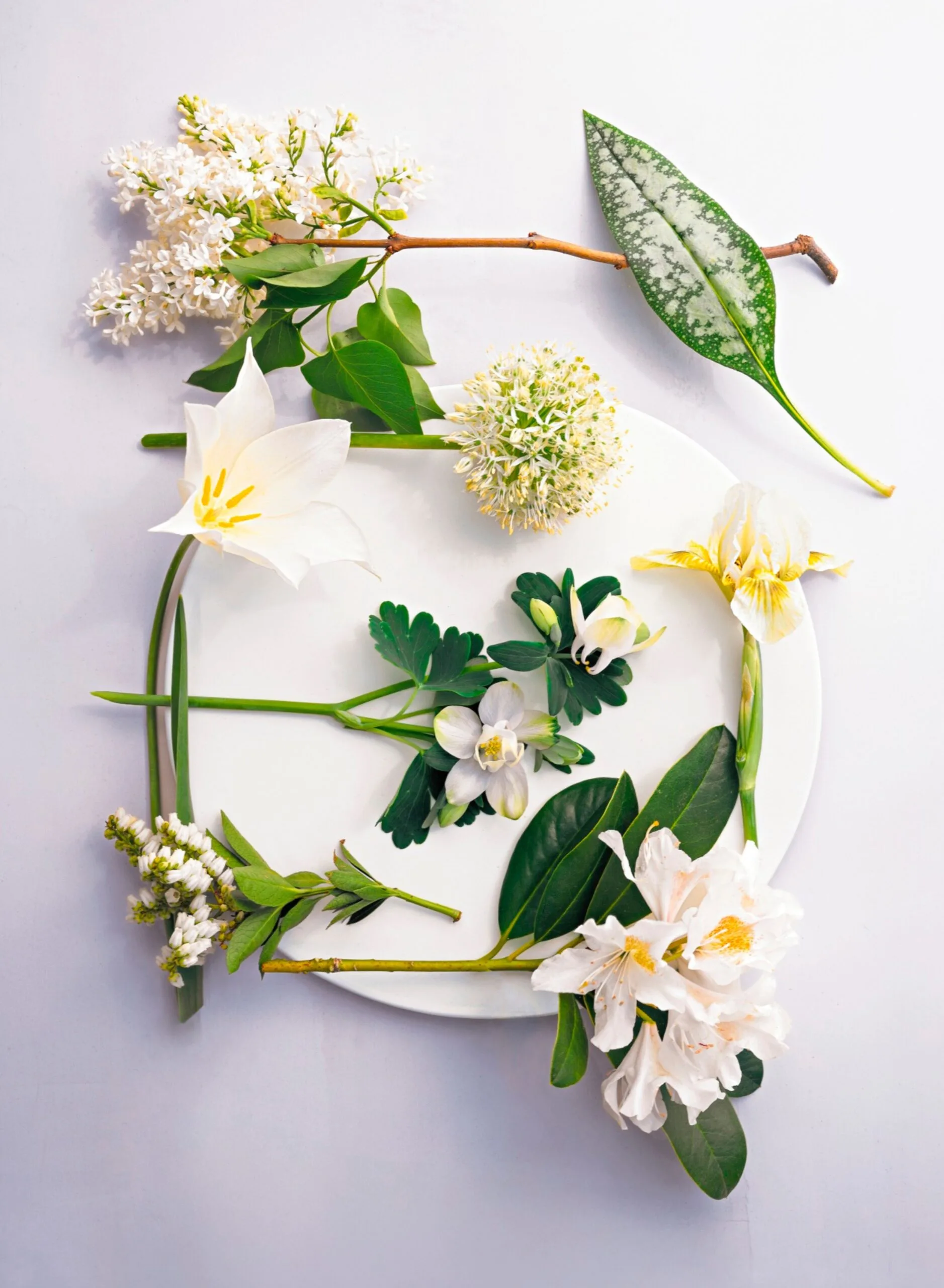 Mid to late spring blooming flowers from Martha Stewart'ss Gardening Handbook