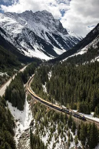 Aerial view of a train traveling through a snowy mountain landscape with pine forests and a towering peak in the background.