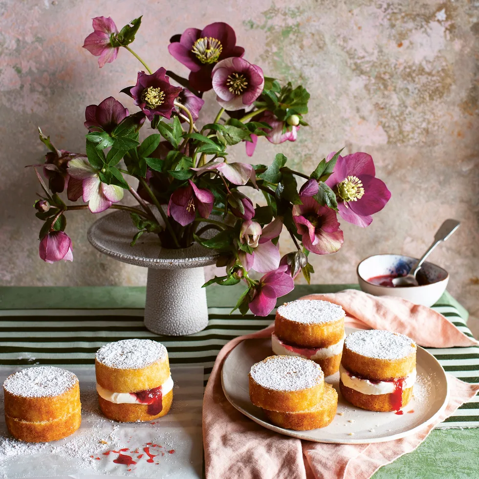 Strawberry and rhubarb jam victoria sponges