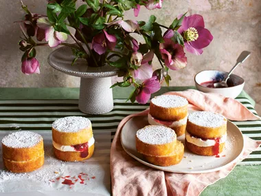 Strawberry and rhubarb jam victoria sponges