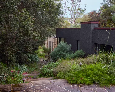 Modern house surrounded by trees and greenery, with a stone path leading through a lush garden.
