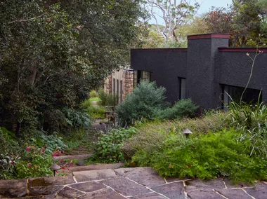 Modern house surrounded by trees and greenery, with a stone path leading through a lush garden.