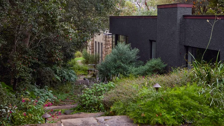 Modern house surrounded by trees and greenery, with a stone path leading through a lush garden.