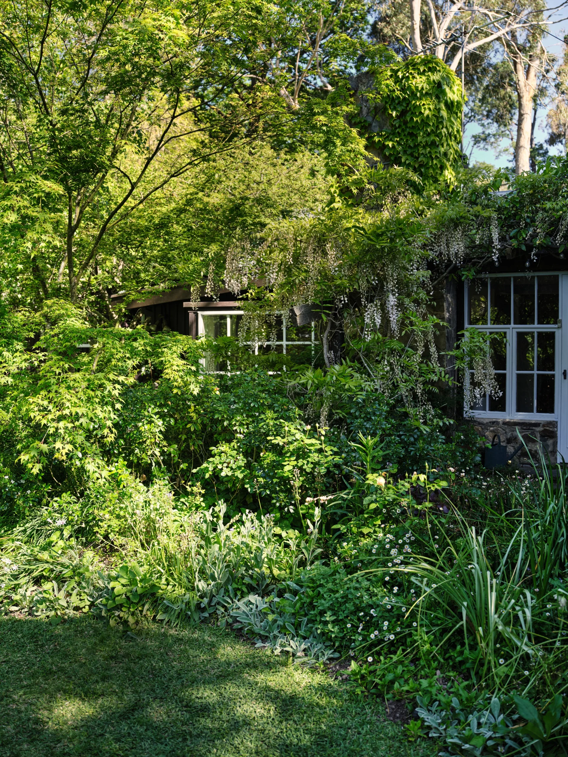 Lush green garden with dense foliage and a cottage partially visible through the leaves. This is part of Bickleigh Village, created by Edna Walling.