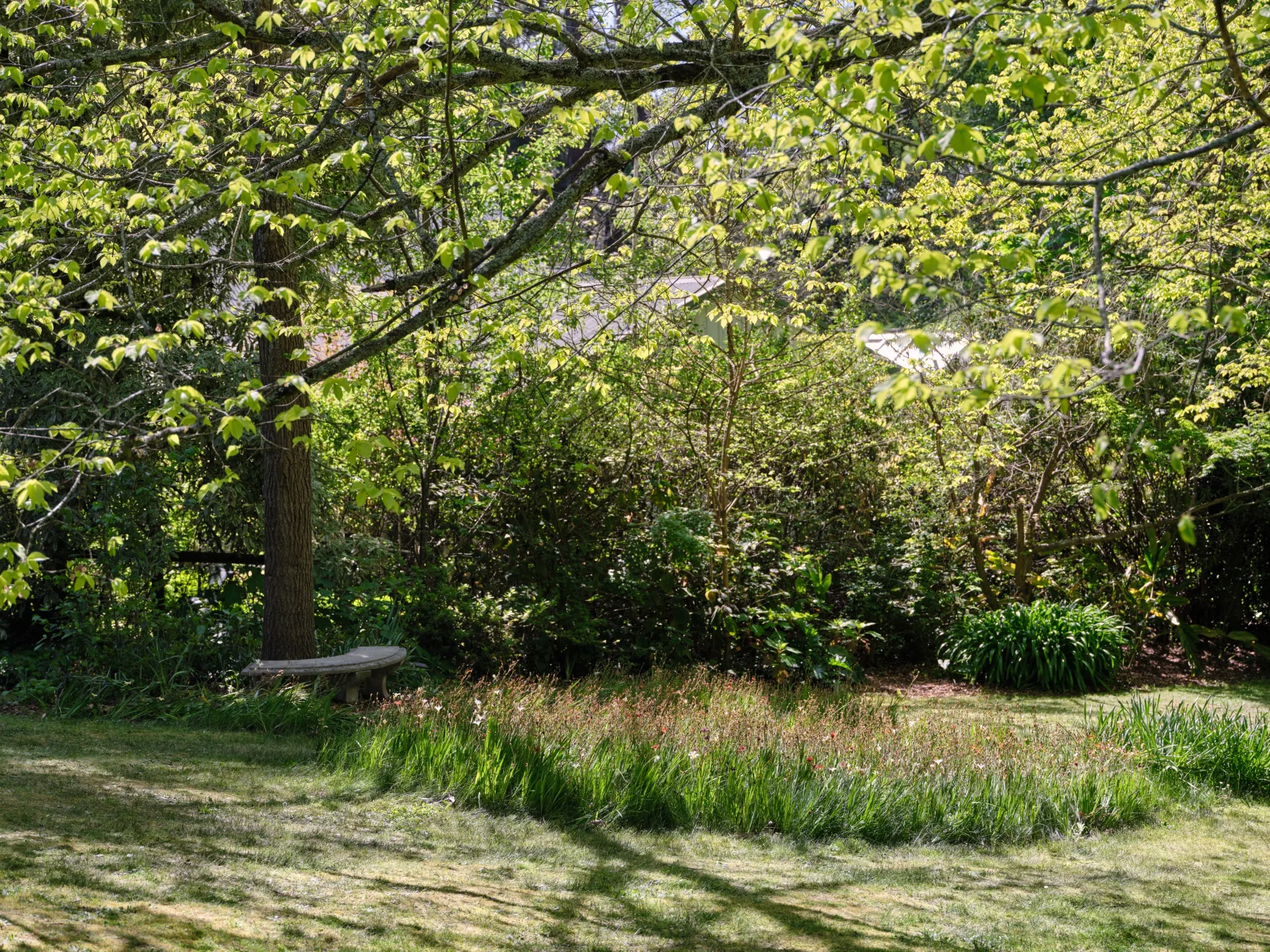 A serene garden scene with lush green foliage, a tree, and a stone bench, bathed in sunlight.
