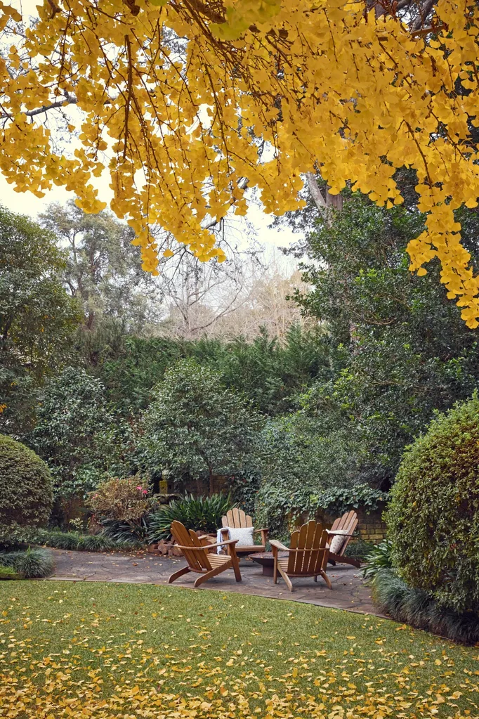 Garden scene with yellow leaves on a deciduous tree overhead, green shrubs, and four wooden chairs on a patio.