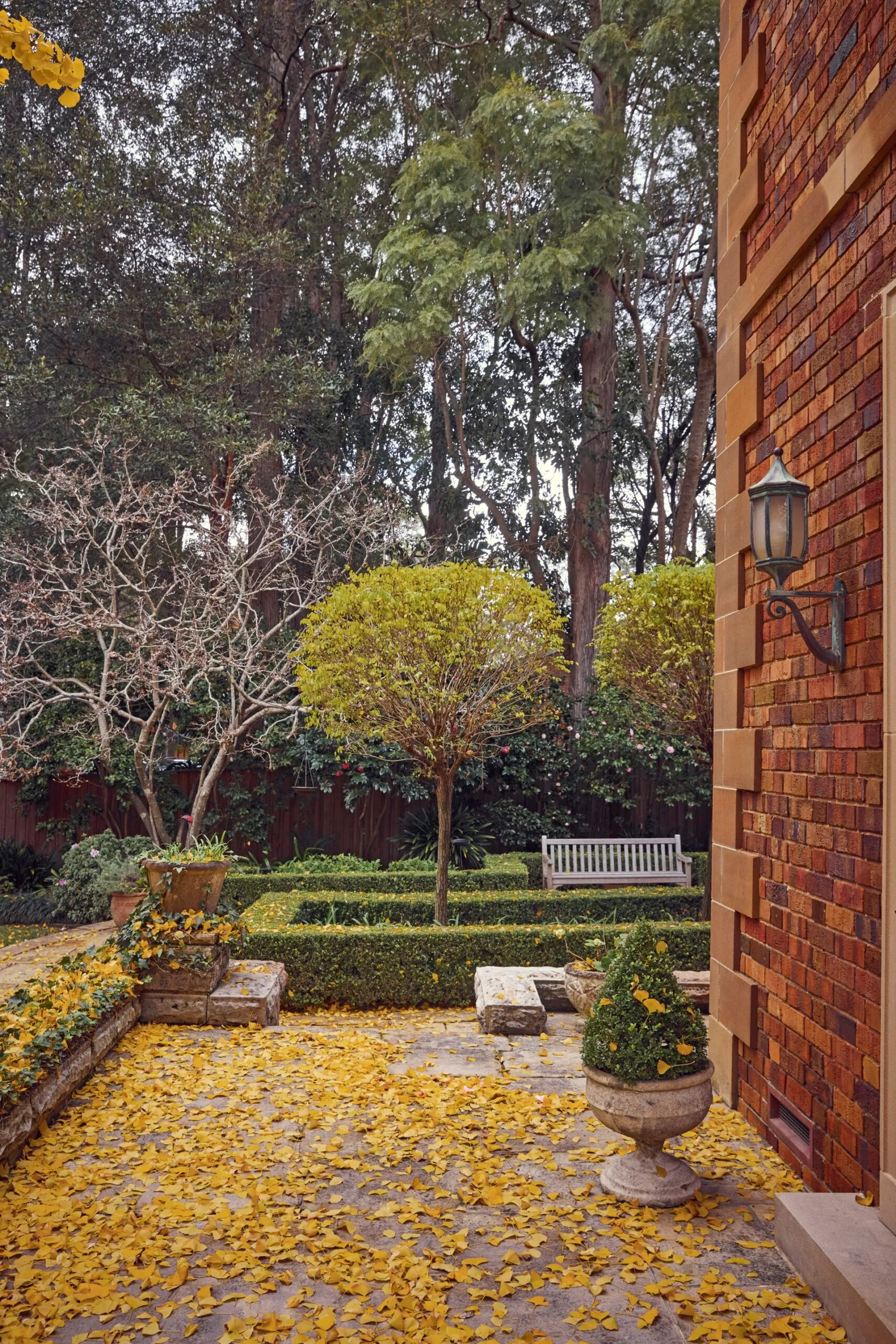 Garden with brick wall, a wooden bench, trees, manicured hedges and ground covered in yellow leaves.