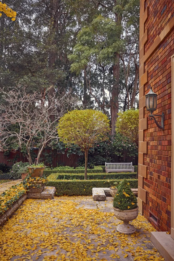 Garden with brick wall, a wooden bench, trees, manicured hedges and ground covered in yellow leaves.