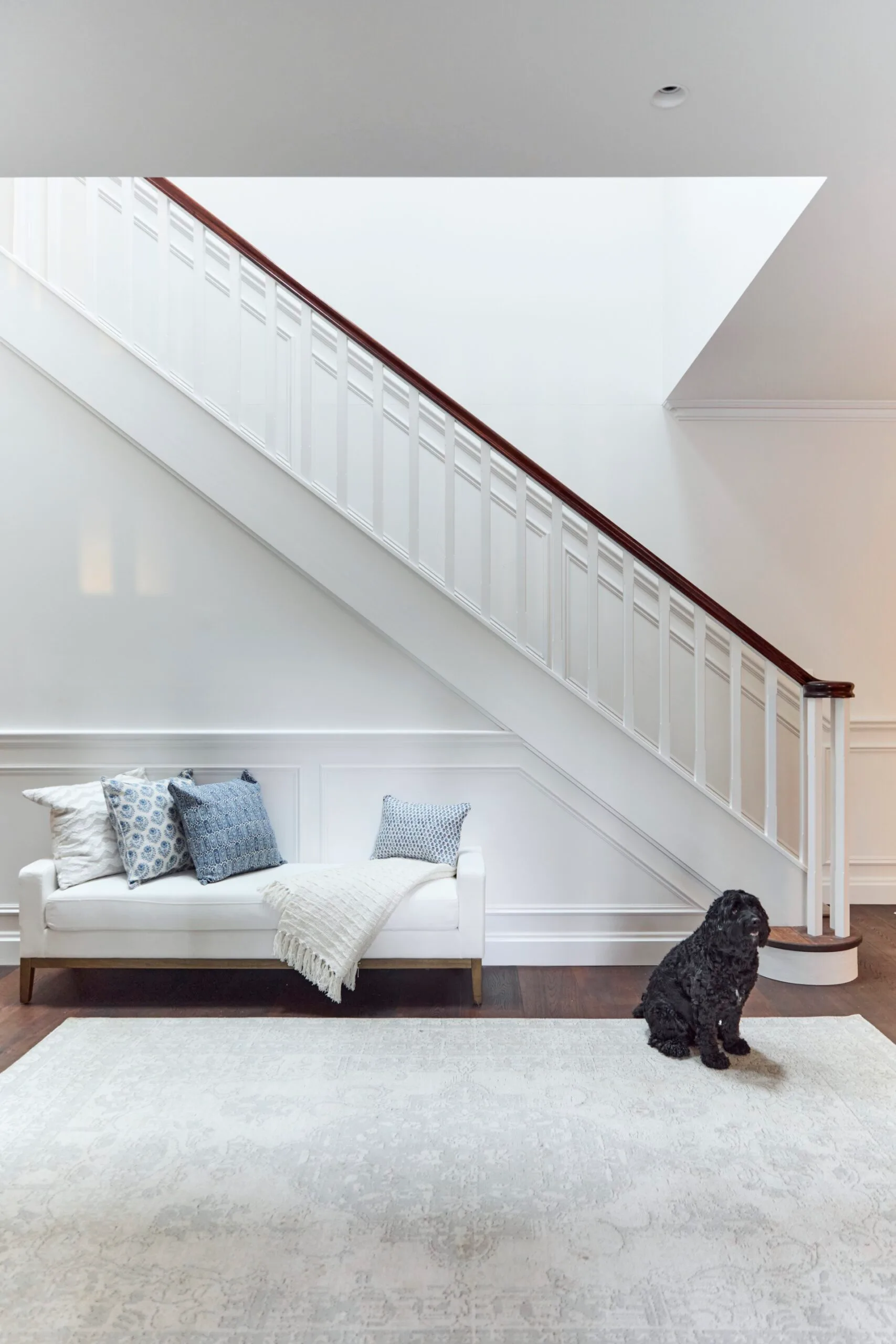 The interior entry of a heritage house. A white sofa with blue cushions is placed against a wall with wainscoting. This wall is under a staircase, with a black cavoodle dog sitting on a light rug, placed atop timber floorboards.