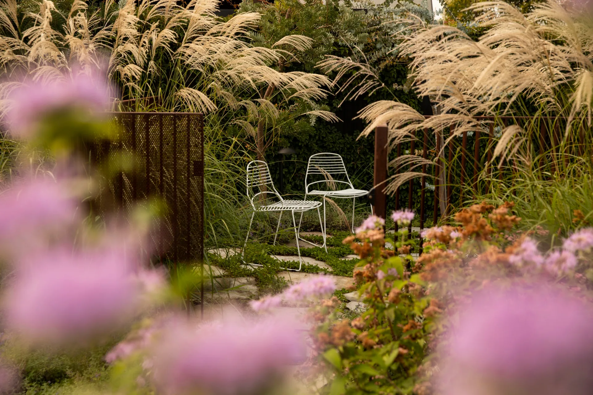 Two white metal chairs in a lush backyard with tall grasses and blurred pink flowers in the foreground. 