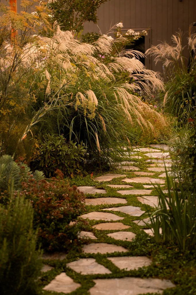 Paved pathway with stepping stones surrounded by tall grasses and lush greenery under warm lighting.