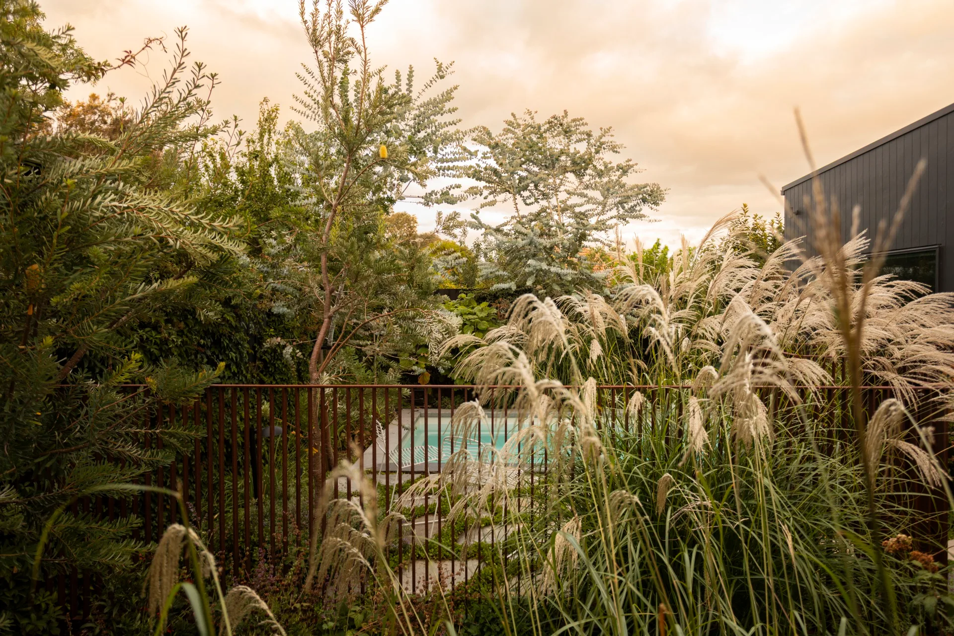Lush garden with tall grasses and trees, a pool barely visible in the background, under a cloudy sky.