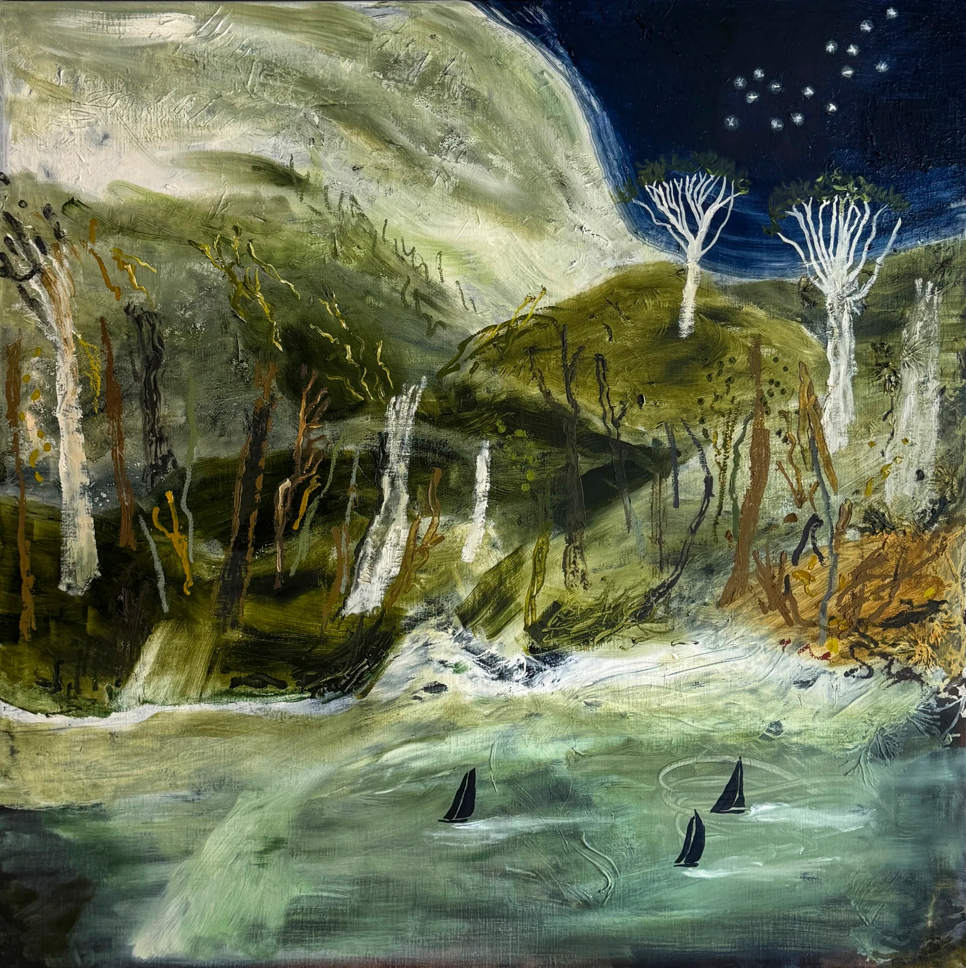 A painting depicting a natural Australian landscape at night time.