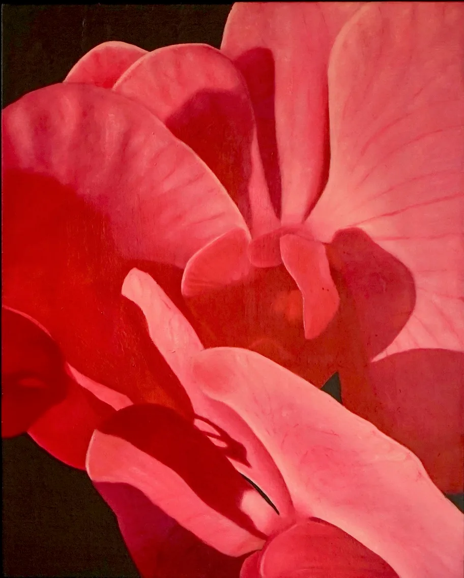 A painting featuring large red and pink petals. It looks like a close up view of a flower.