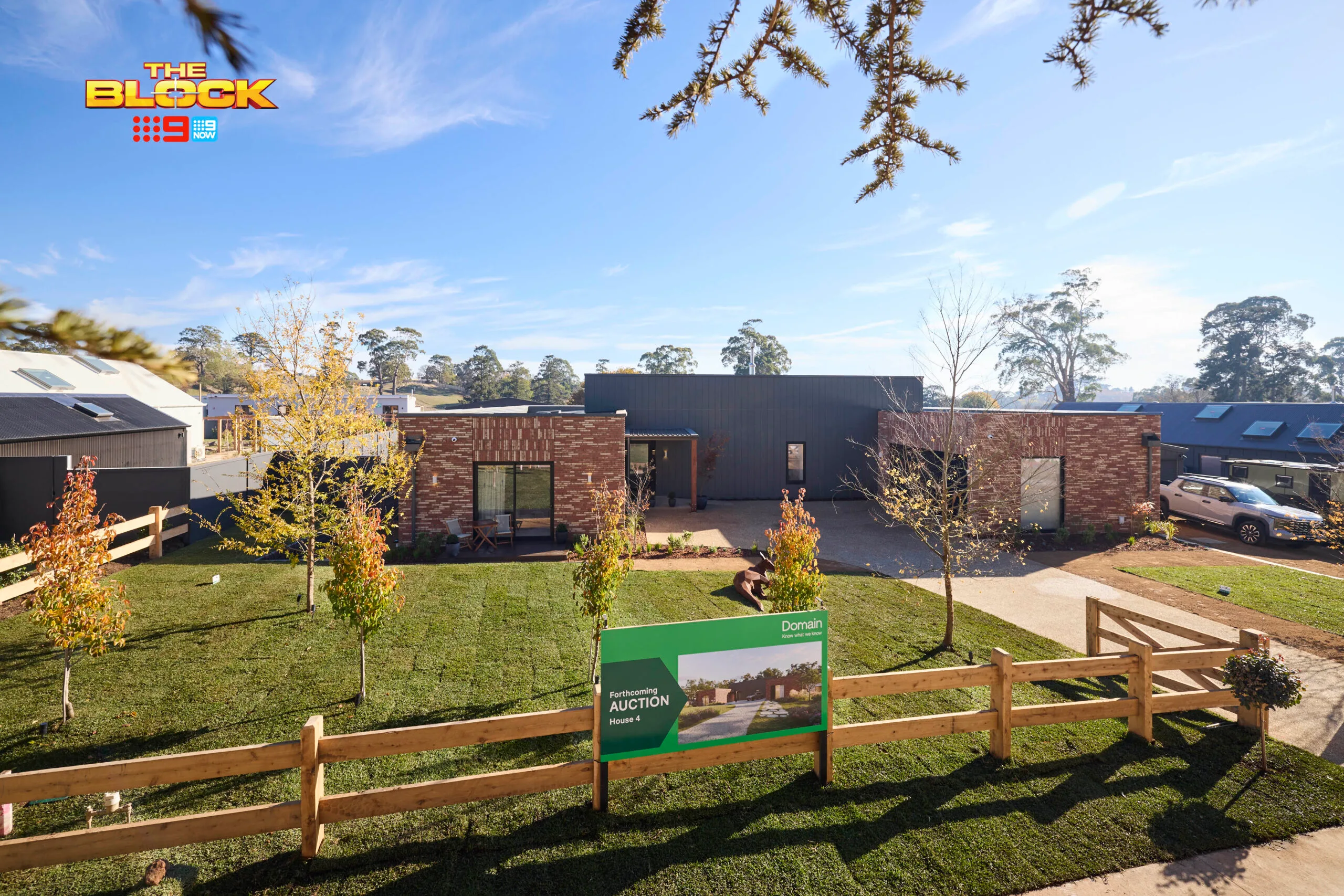 Sonny and Alicia's front yard 