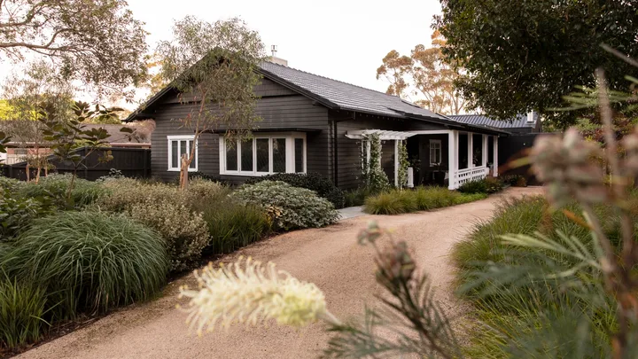 A rustic dark wood house with white windows, surrounded by lush green plants and a winding gravel path.