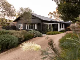 A contemporary native garden elevates this Melbourne weatherboard home