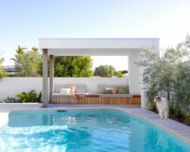 Pool and cabana with a dog