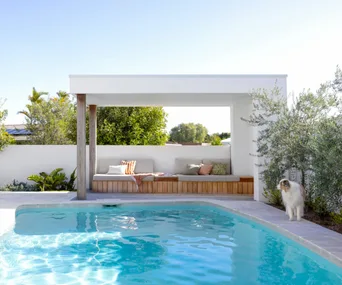Pool and cabana with a dog
