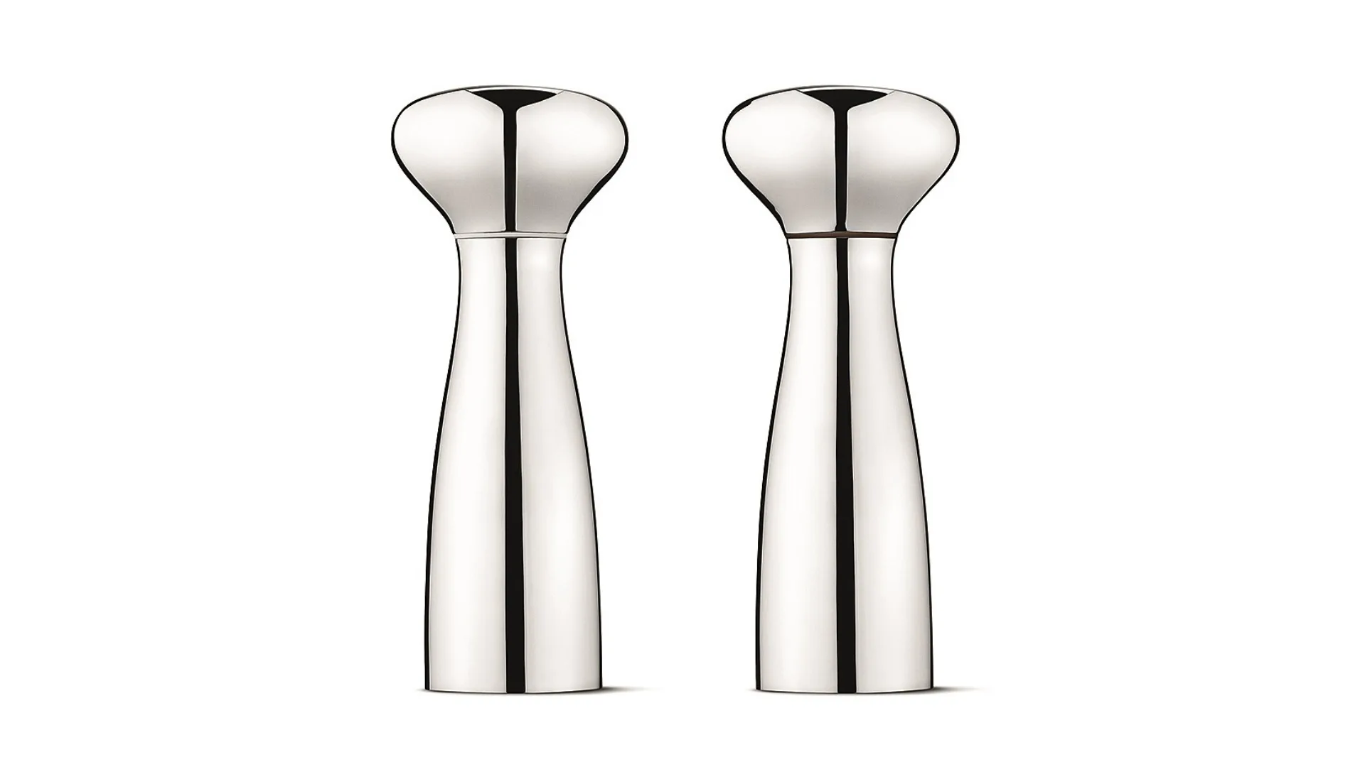 Two stainless steel salt and pepper shakers