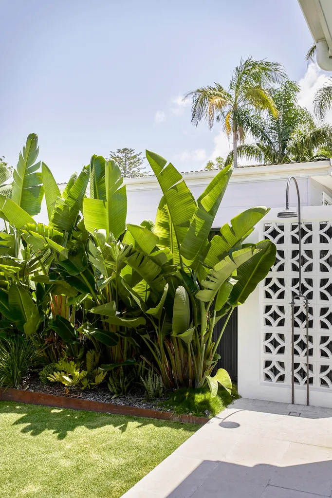 Outdoor shower beside a white modern screen, surrounded by lush tropical plants and a clear blue sky.
