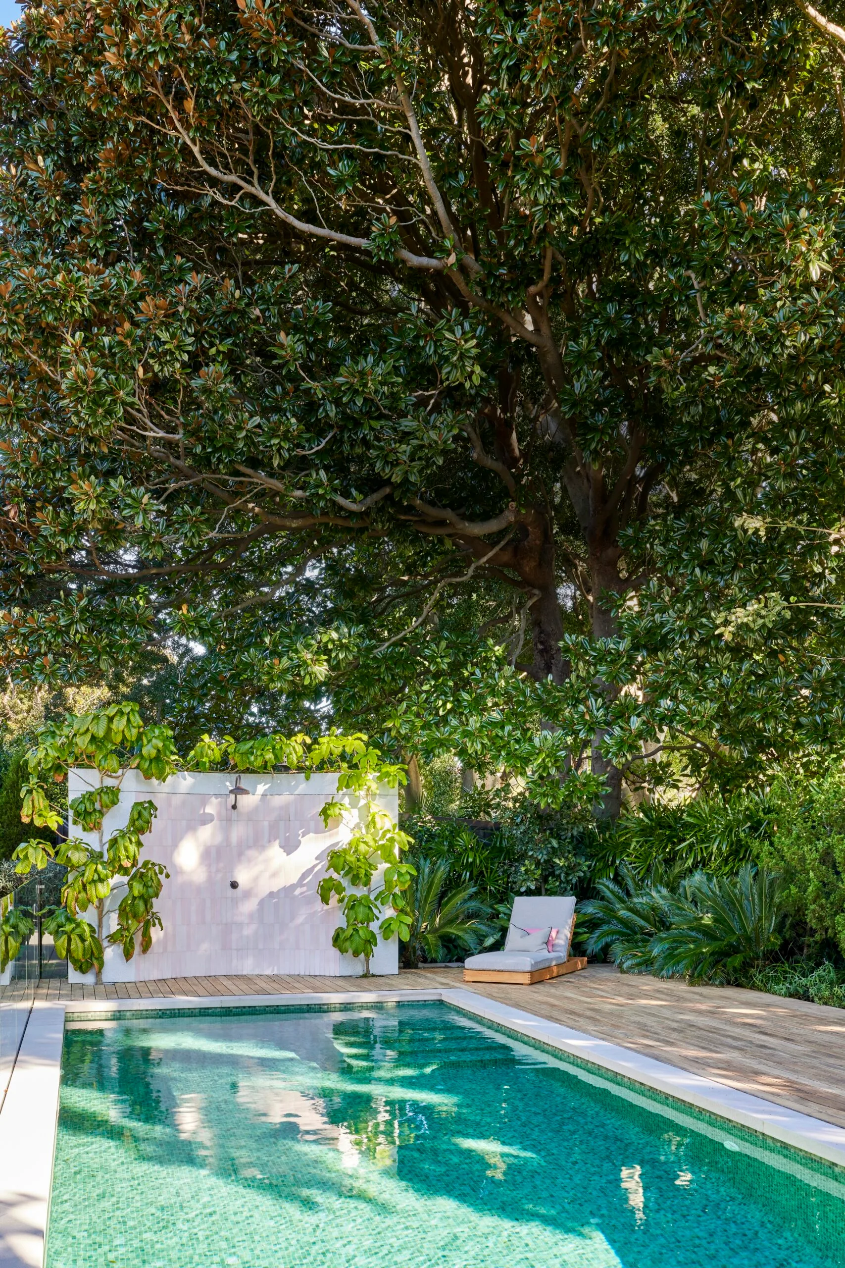 Sunlit pool with surrounding greenery, large tree, outdoor shower, and a lounge chair on wooden decking.
