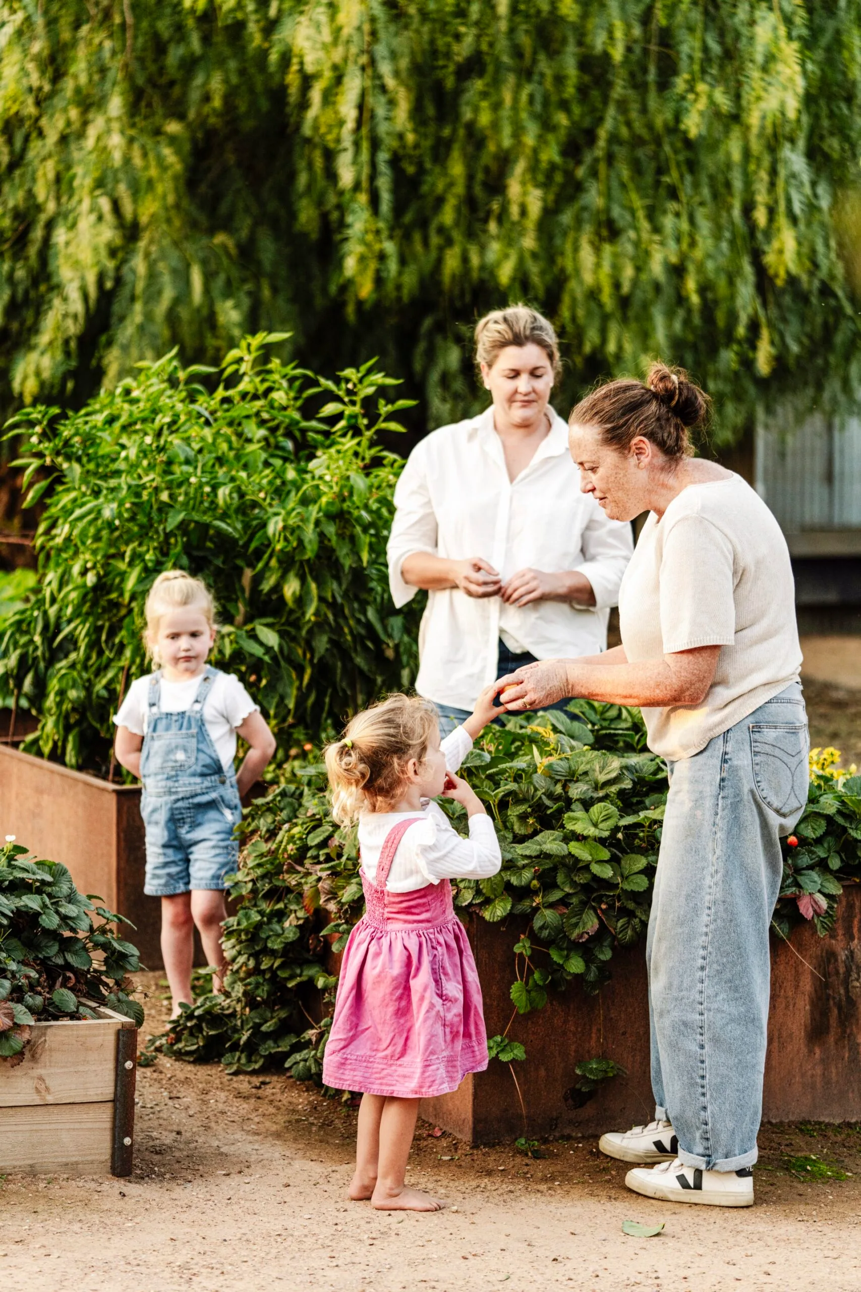 Adults and children in a vegetable garden interacting with plants on a sunny day.