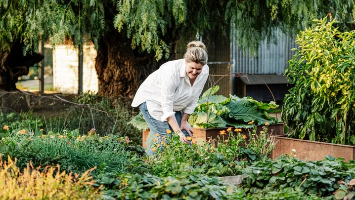 A woman gardening in a lush vegetable garden with raised wooden beds and green trees in the background.