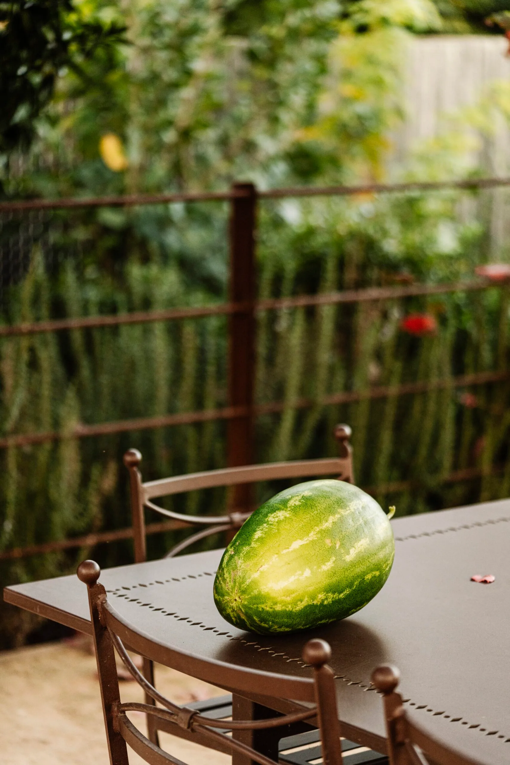Watermelon on a brown patio table with blurred greenery in the background.