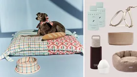 The Paris Edit: Embrace ‘The Doghouse’ with these stylish pet brands