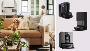 spliced image of a cavoodle dog sitting on a tan couch in a beautiful living room with photos of the best robot vacuums for pet hair