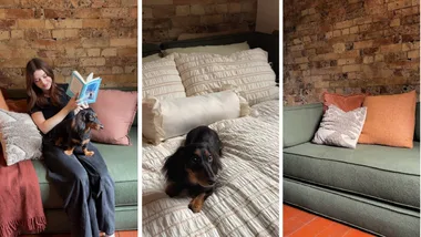 Collage of three images: Author, Paris Blanchfield holding her dachshund while sitting on the Ecosa Nimble Sofa Bed, The Author's dog on the sofa bed, and the sofa bed dressed in cushions