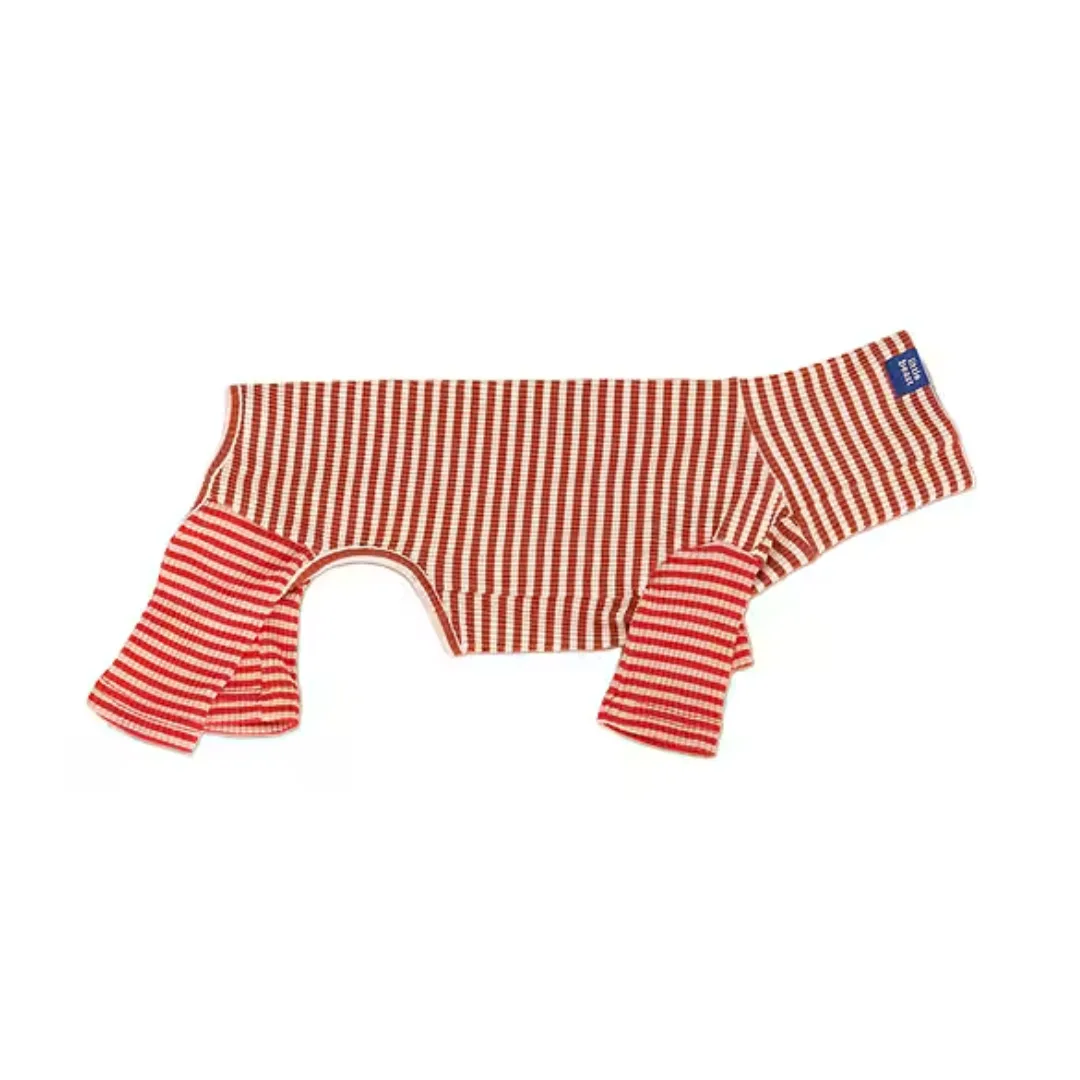 Little Beast Striped Onesie + Best Pet Brands 2026 + Best Dog Sweaters