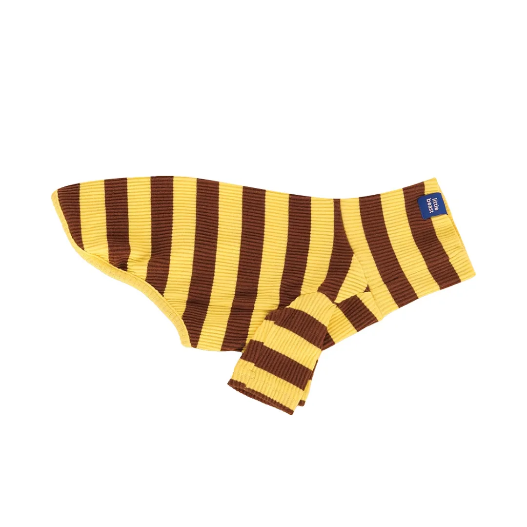 Little Beast Striped Shirt + Best Pet Brands 2026 + Best Dog Sweaters