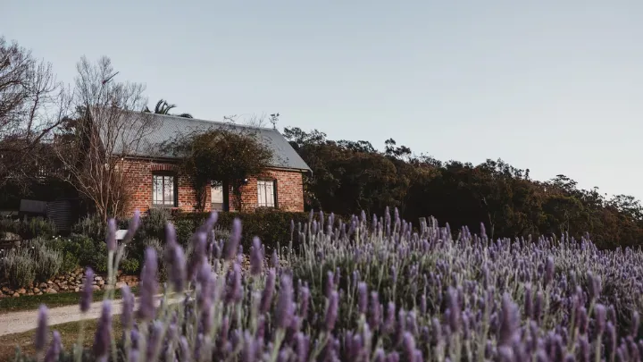 Treat yourself to a weekend away at these tranquil NSW Airbnbs