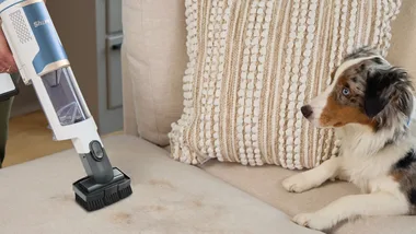 Shark discount code guide: Save on Shark vacuum cleaners, steam mops, spot cleaners, air purifiers and more with our edit of verified codes and deals.