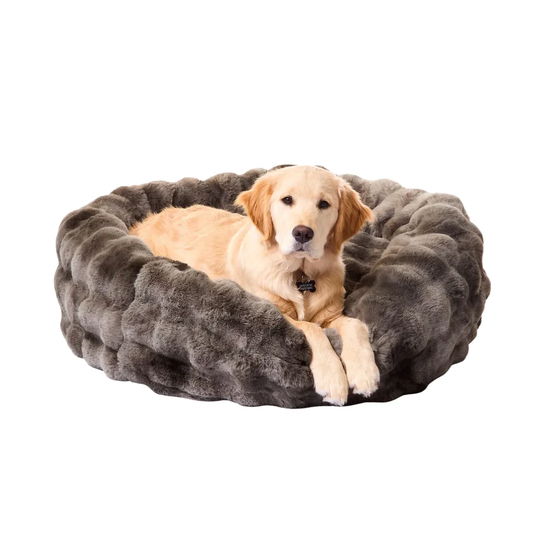 Snooza Cuddler Dog Bed + Best Pet Brands Australia