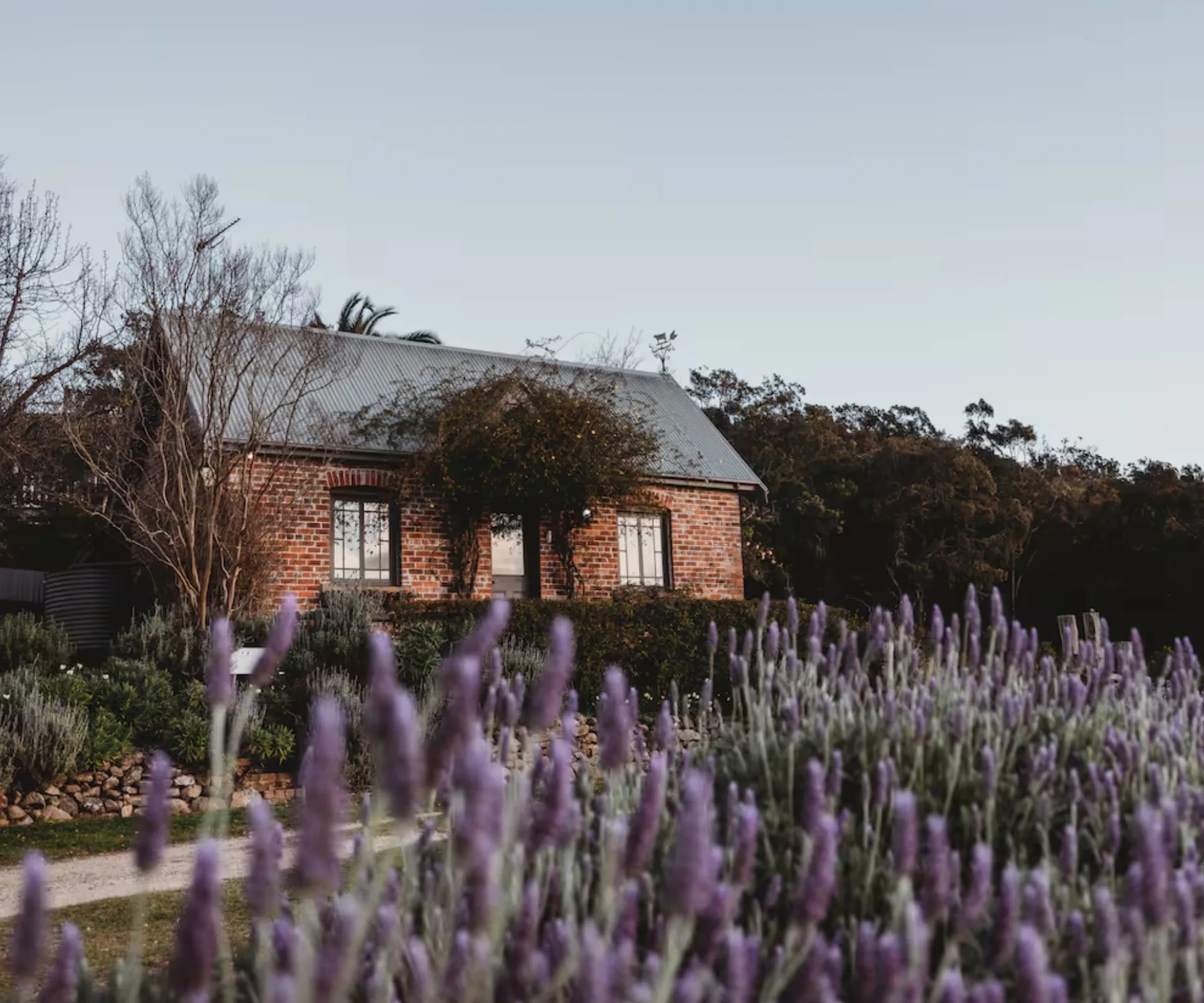 The Studio on Pokolbin Mountain Best Airbnb NSW